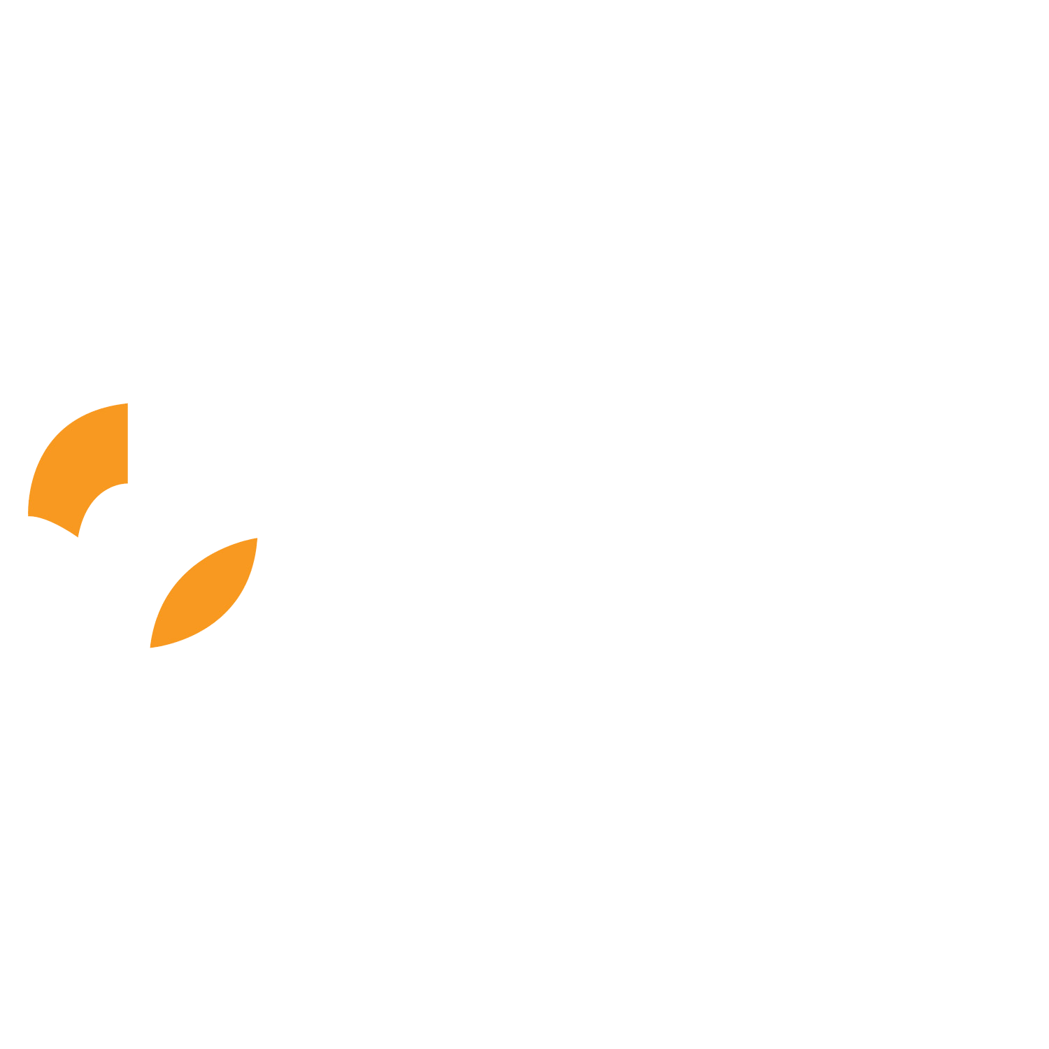 EcomStride